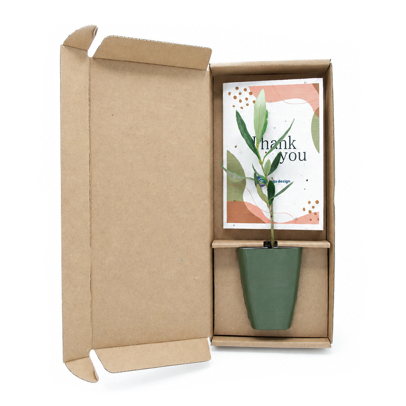 Gift tree in box
